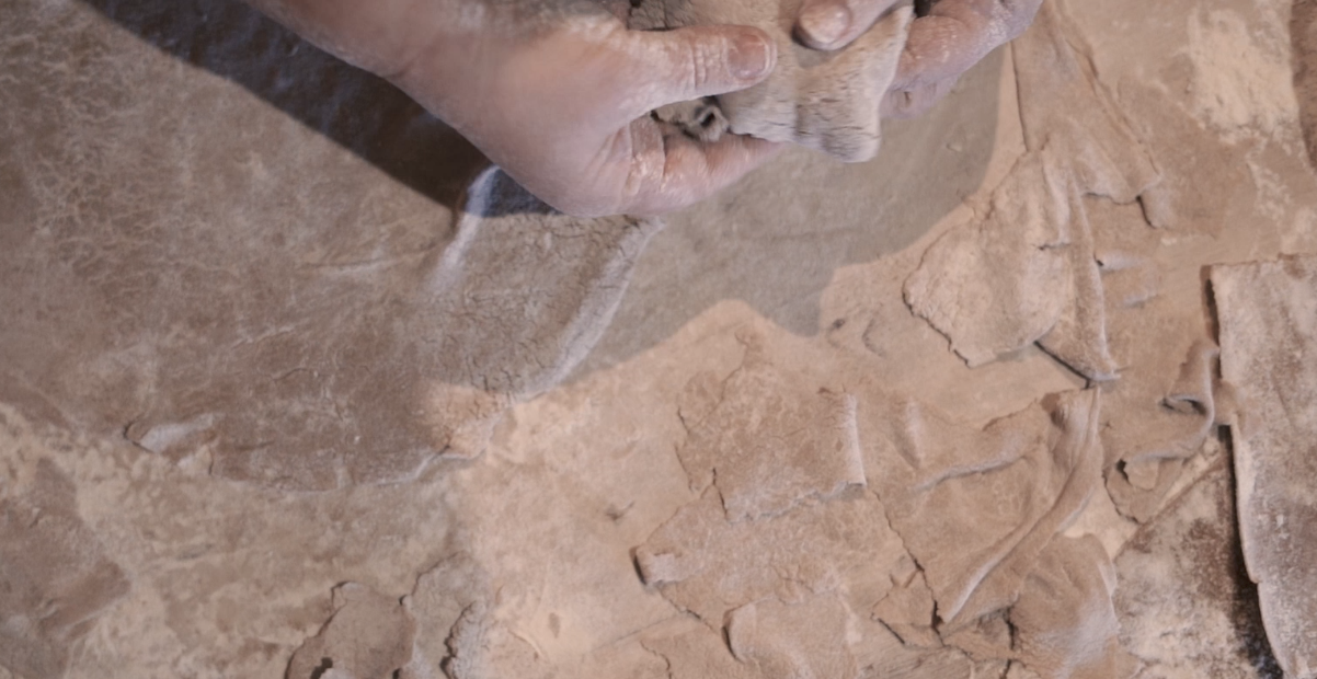 Schermata 2023-12-17 alle 12.42.51